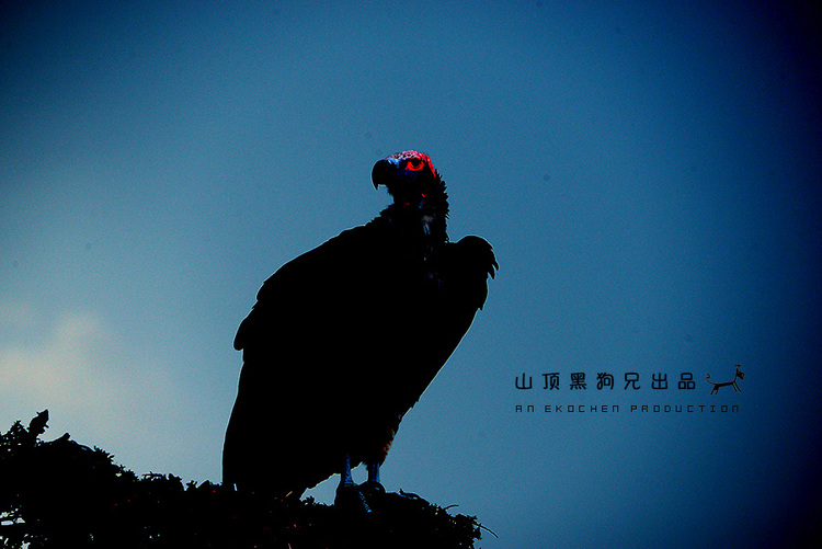 馬賽馬拉：它不是一個(gè)國家公園