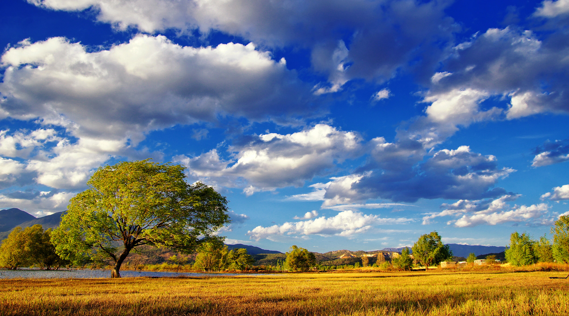 景點(diǎn)封面圖