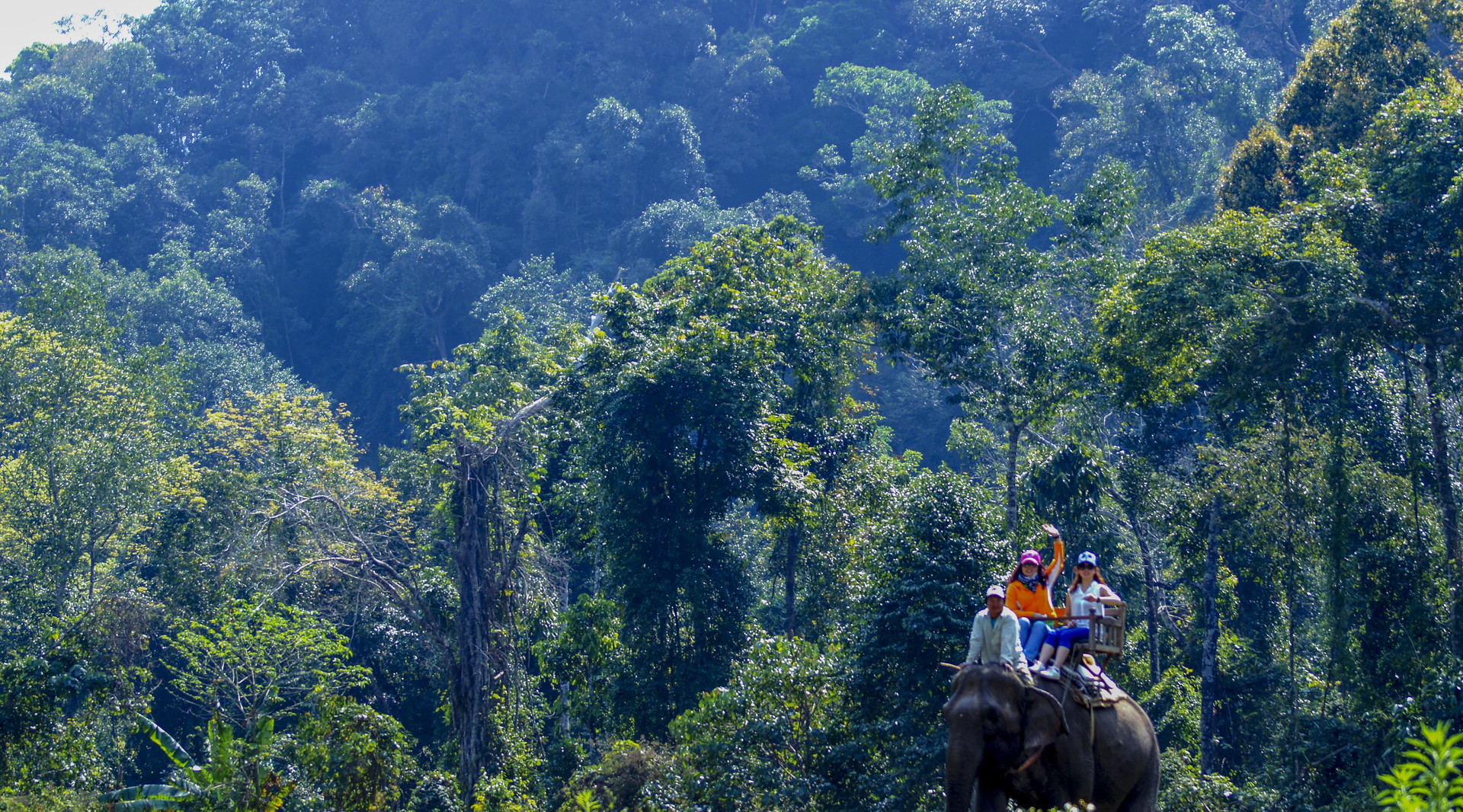 景點(diǎn)封面圖