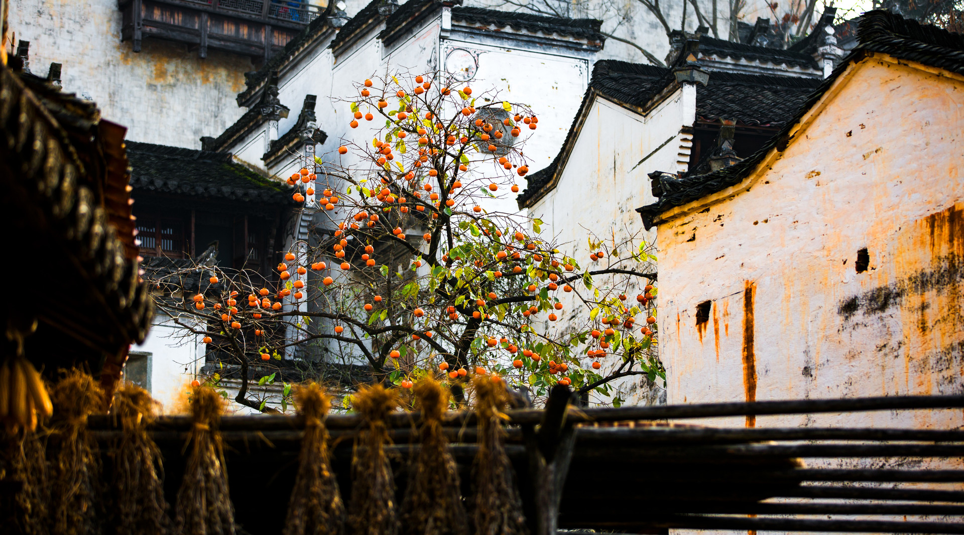 景點(diǎn)封面圖