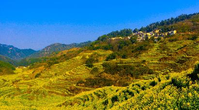 【煙雨徽州】九華山大愿文化園、太平湖 大美黃山（二次上山）、水墨宏村、秀里古村 夜游花山謎窟五天雙飛