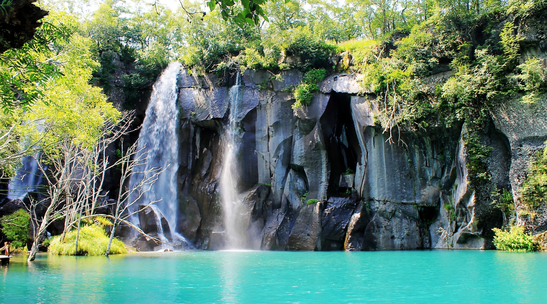 長白山自然保護(hù)區(qū)封面圖