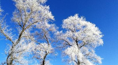 景點(diǎn)：吉林霧凇