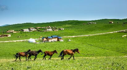 【A3童話阿爾山 逐夢呼倫貝爾雙飛6日】呼倫貝爾大草原·莫日格勒河·奧洛契莊園·九卡-呼倫貝爾博物館