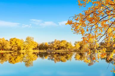 【N1秋染額旗 5湖輕度假雙飛6日】額濟(jì)納旗胡楊·弱水金沙灣·居延?！す謽?shù)林·黑水古城·定遠(yuǎn)營(yíng)·沙湖