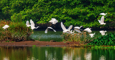 景點(diǎn)封面圖