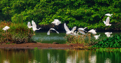 【江門(mén)陽(yáng)江2天】<深中通道、無(wú)限次浸泡空中園林溫泉赤坎古鎮(zhèn)僑鄉(xiāng)國(guó)際旅游區(qū)天麓山海山頂攬勝、十里銀灘>