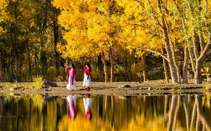 【H8N金塔幻影 青甘風(fēng)物詩雙飛8日】金塔胡楊林·鳴沙山·嘉峪關(guān)·青海湖·翡翠湖·茶卡鹽湖·黃河風(fēng)情
