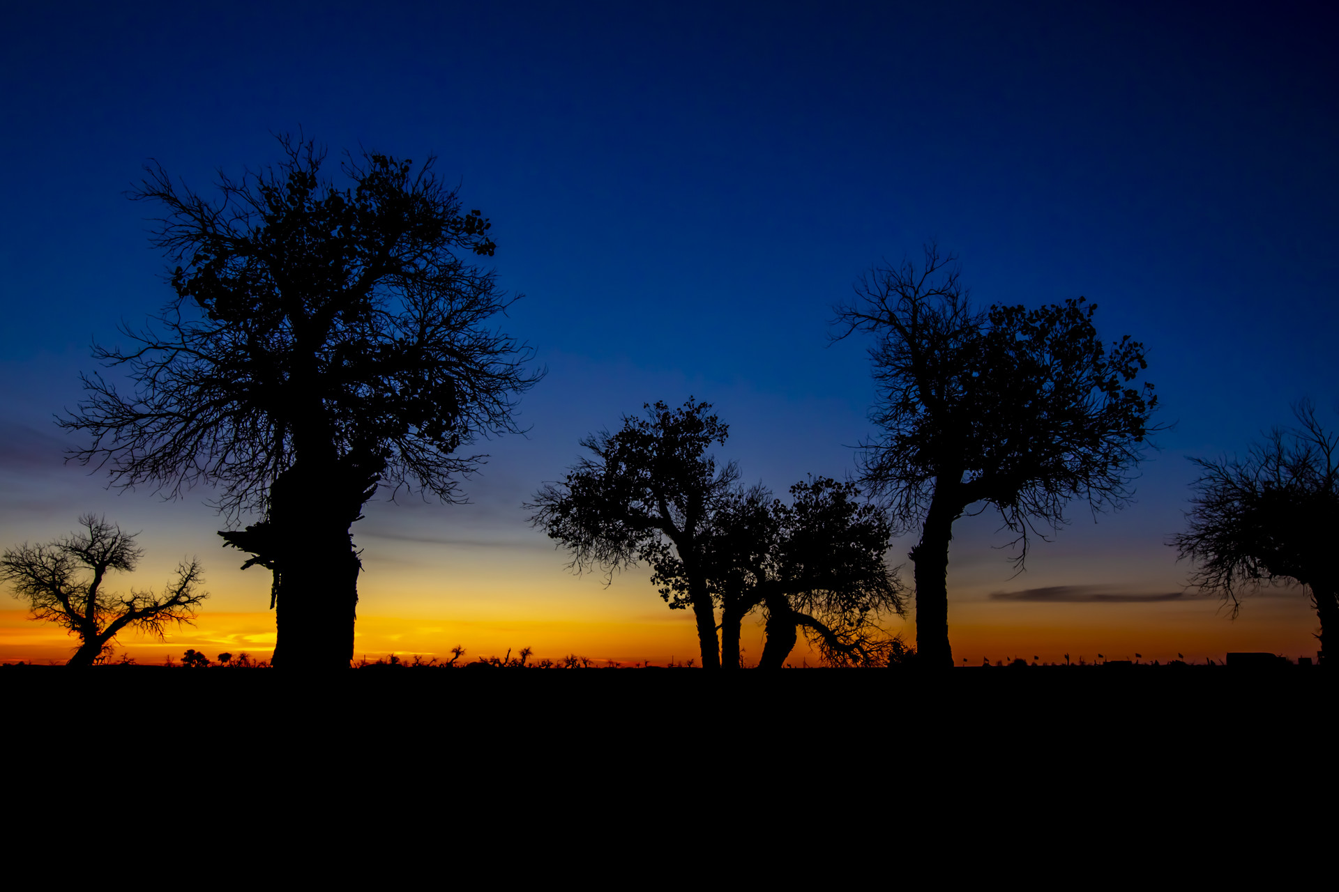額旗破曉封面圖