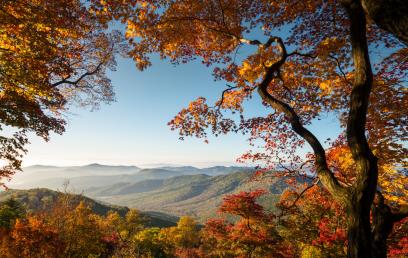 景點(diǎn)：吉林秋色